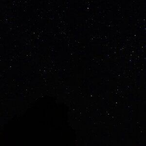 Meet your Posher, Tessa